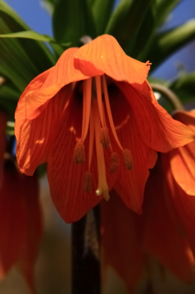2011 05 01 IMG 29839